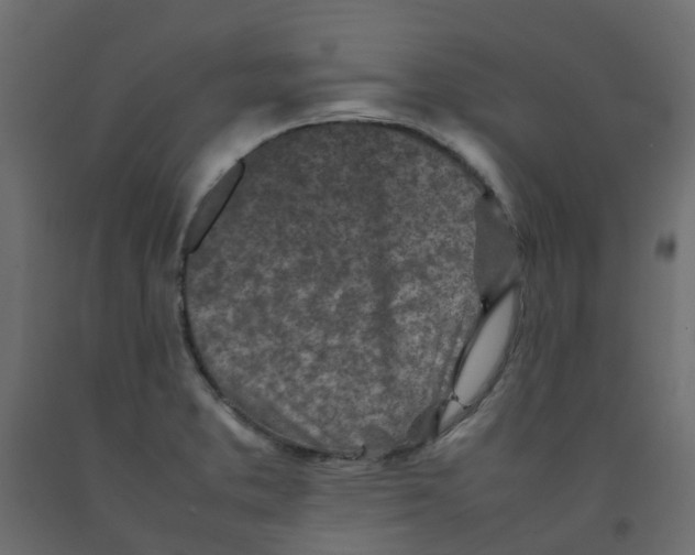 X0000092101373200710101113