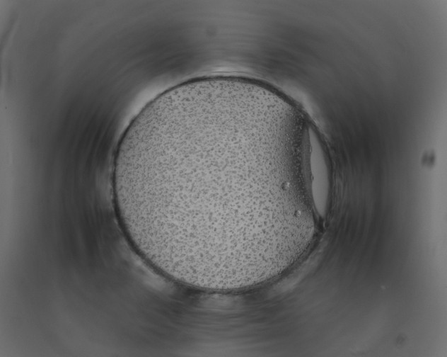 X0000092101374200710101113