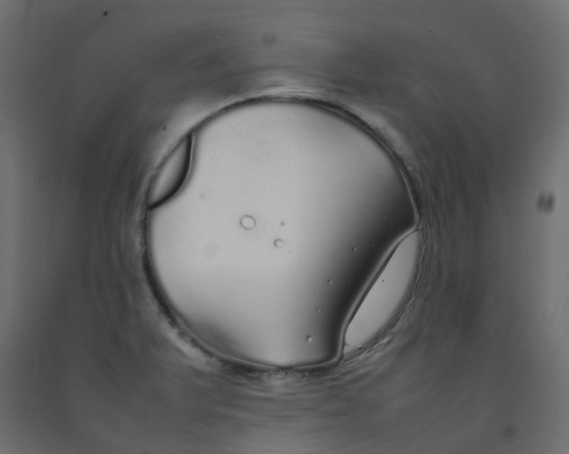 X0000092101375200710101113