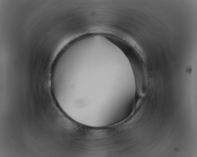 X0000092101376200710101113