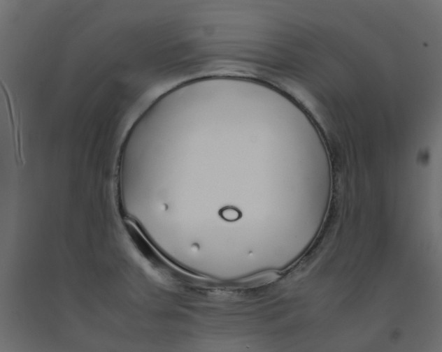 X0000092101379200710101113