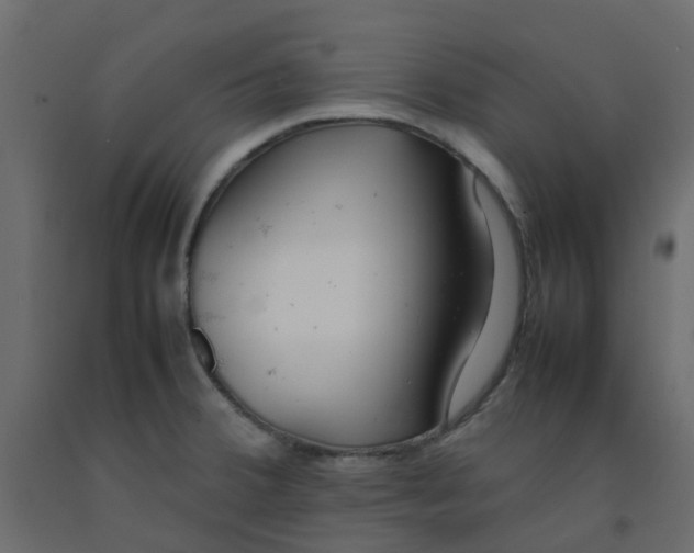 X0000092101380200710101113