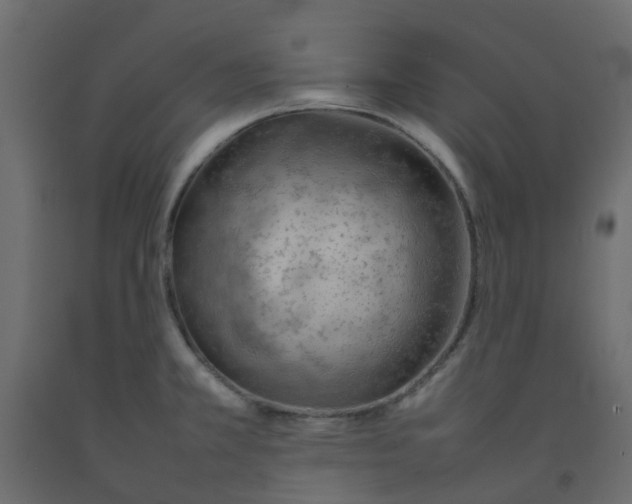 X0000092101381200710101113