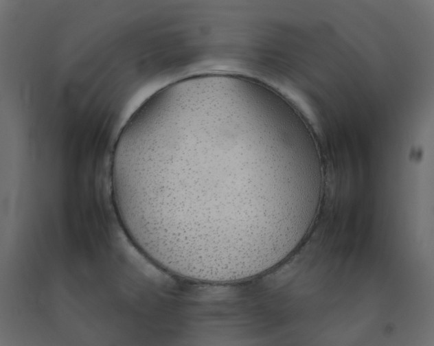 X0000092101382200710101113