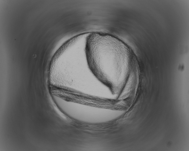 X0000092101383200710101113