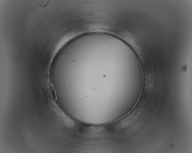 X0000092101384200710101113