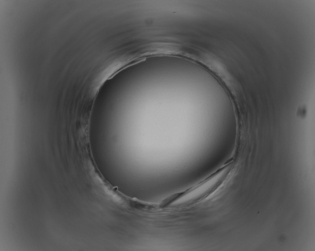 X0000092101385200710101113