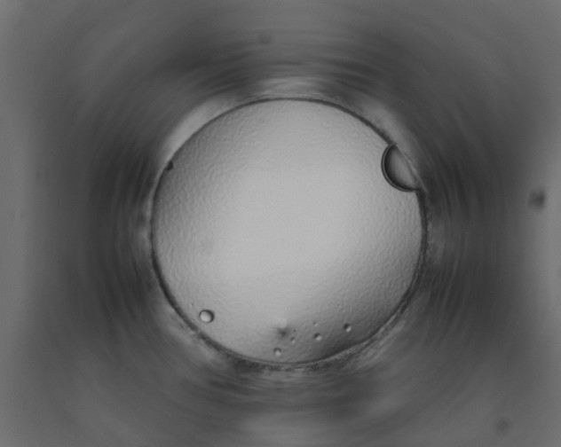 X0000092101386200710101113