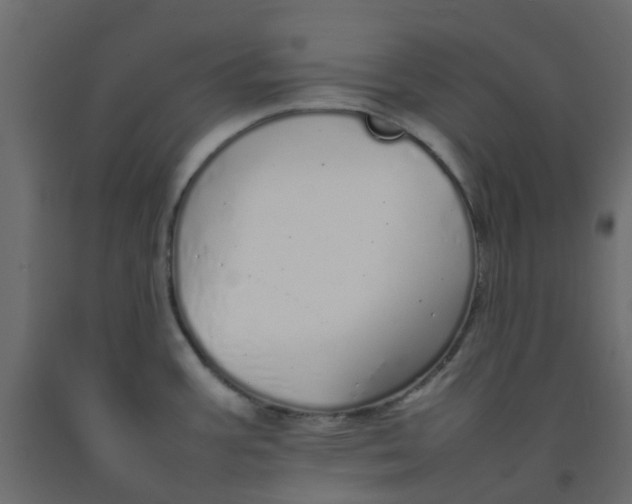 X0000092101387200710101113