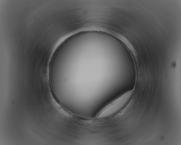 X0000092101388200710101113