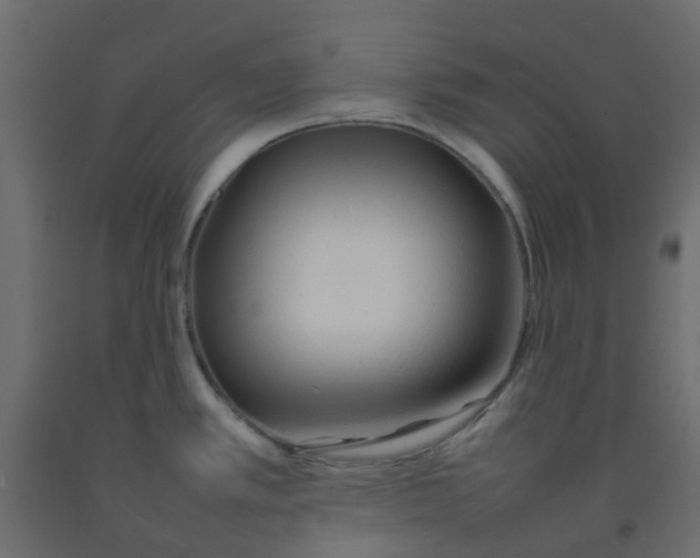 X0000092101389200710101113