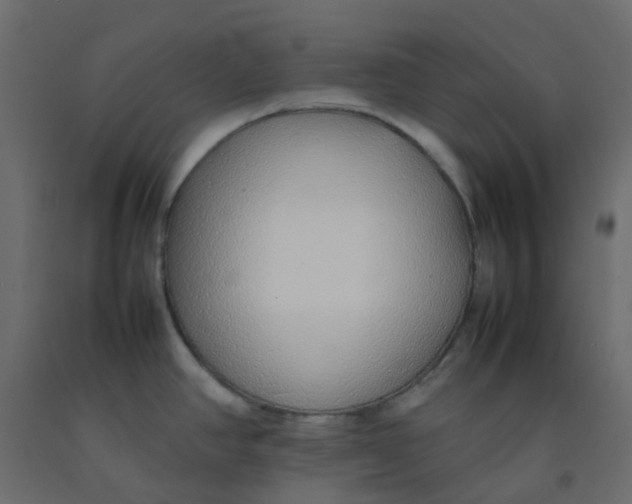 X0000092101390200710101113