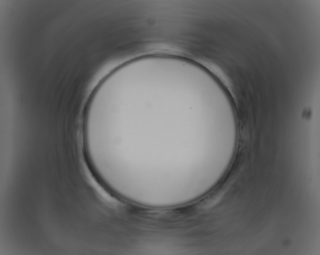 X0000092101391200710101113