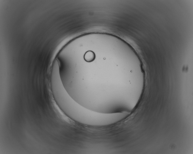 X0000092101392200710101112