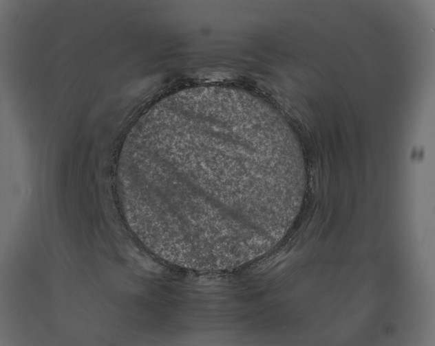 X0000092101393200710101112