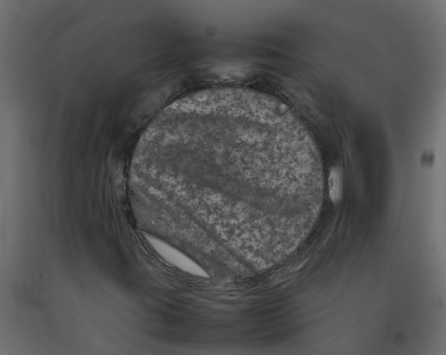 X0000092101395200710101112