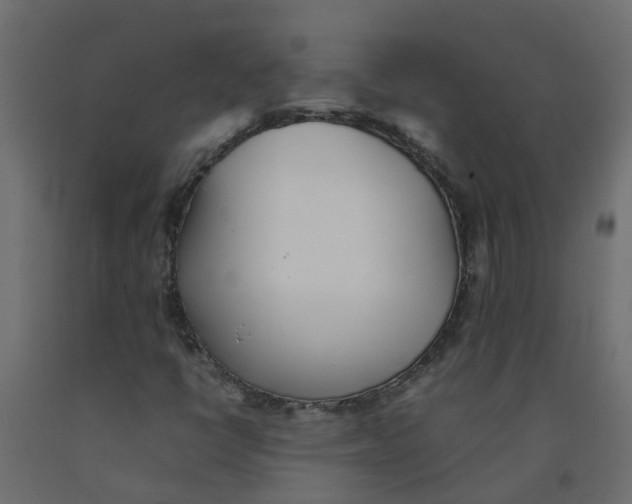 X0000092101398200710101112