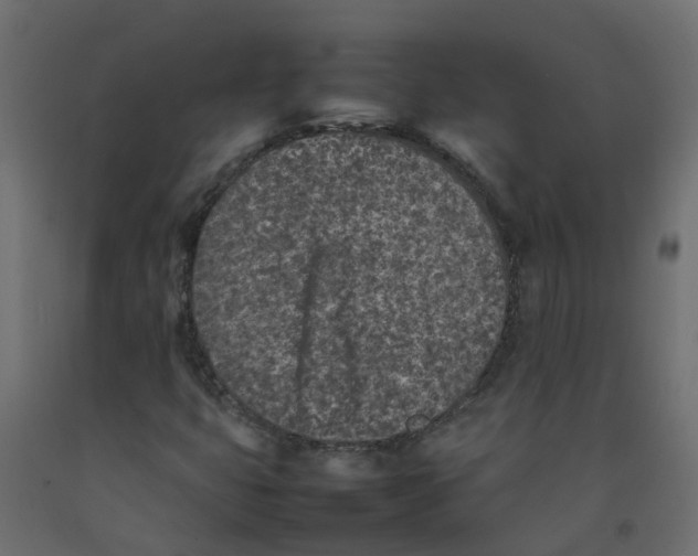 X0000092101399200710101112