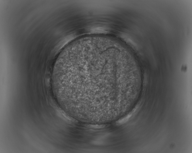 X0000092101401200710101112