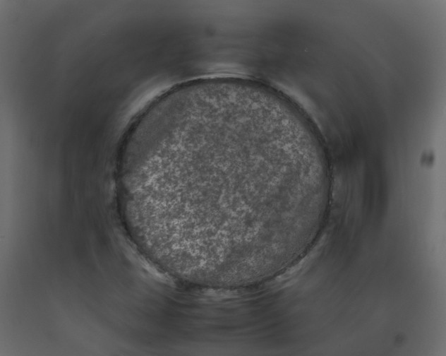 X0000092101407200710101112