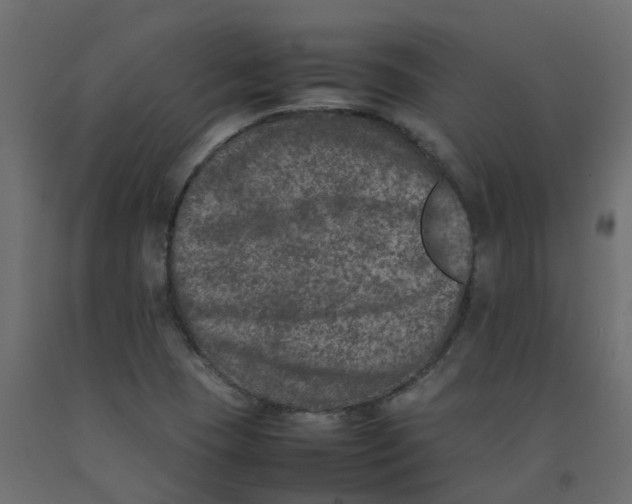 X0000092101409200710101112