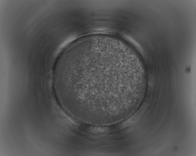 X0000092101411200710101112