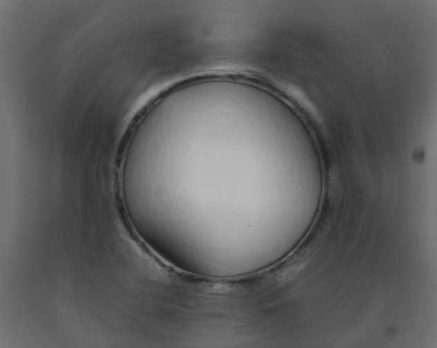 X0000092101412200710101112