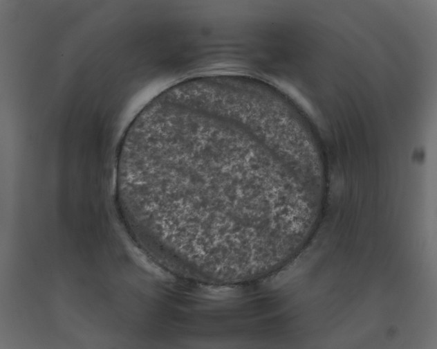 X0000092101413200710101112