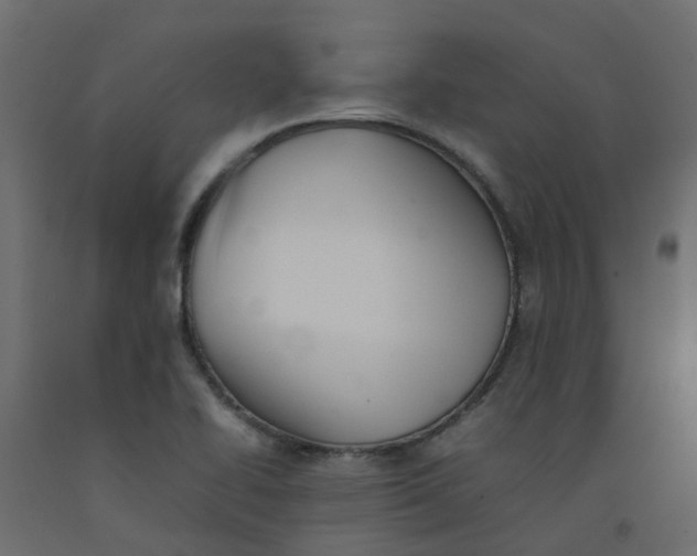 X0000092101414200710101112