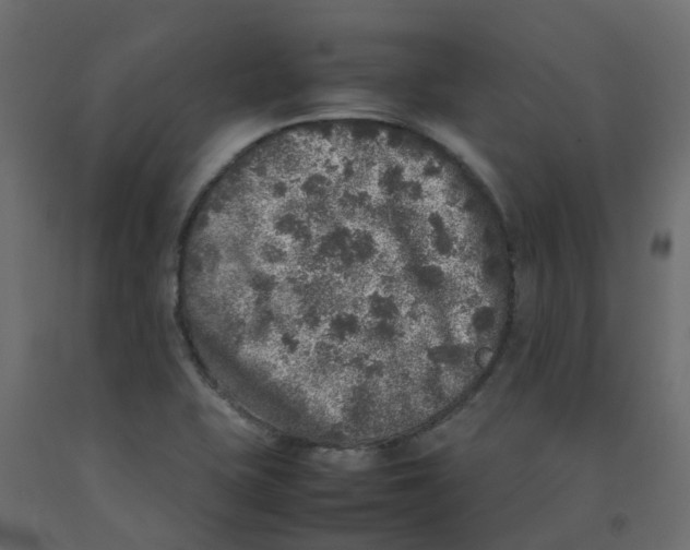 X0000092101415200710101112