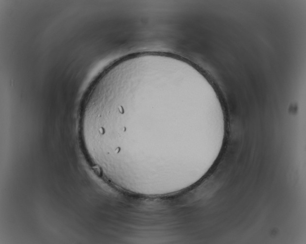 X0000092101416200710101112