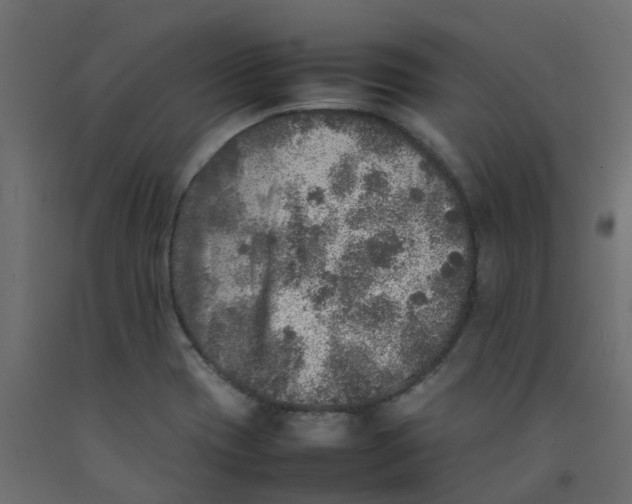 X0000092101417200710101112