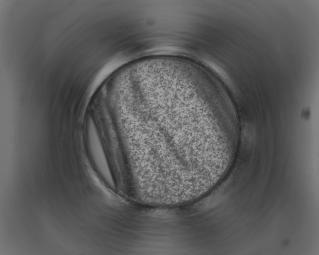 X0000092101418200710101112