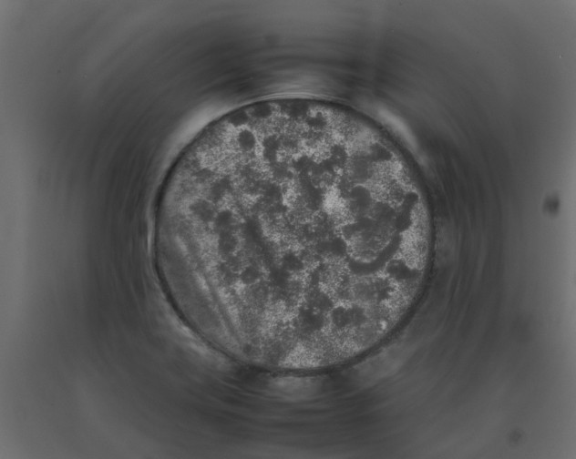 X0000092101419200710101112