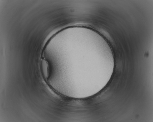 X0000092101420200710101112