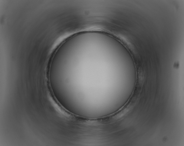 X0000092101422200710101112