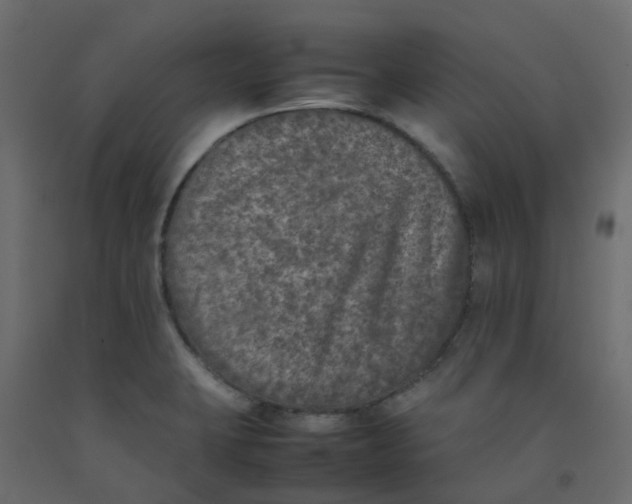 X0000092101423200710101112