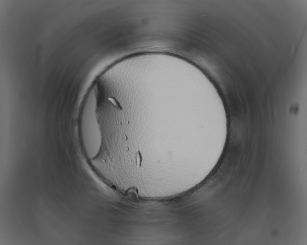 X0000092101424200710101112