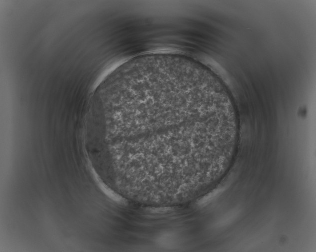 X0000092101425200710101112