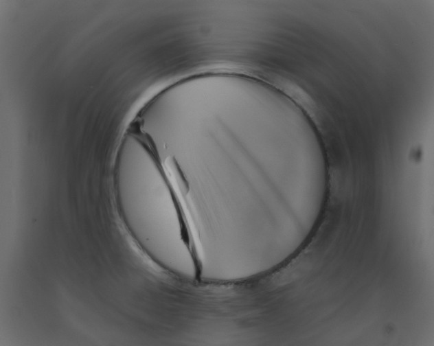 X0000092101428200710101112