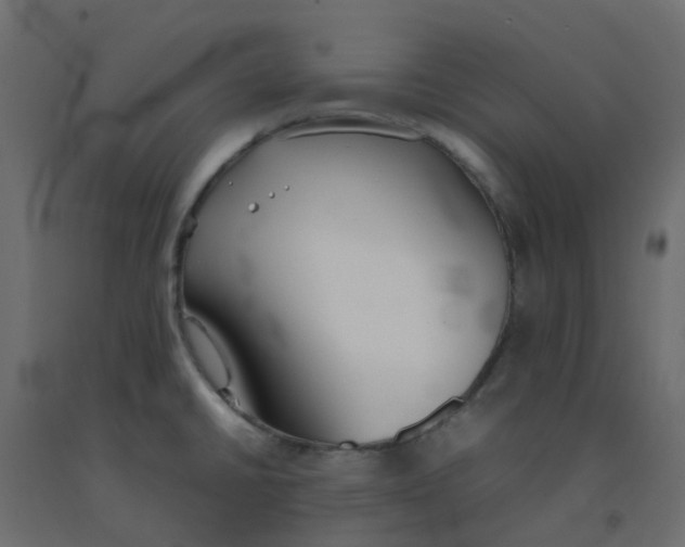 X0000092101430200710101112