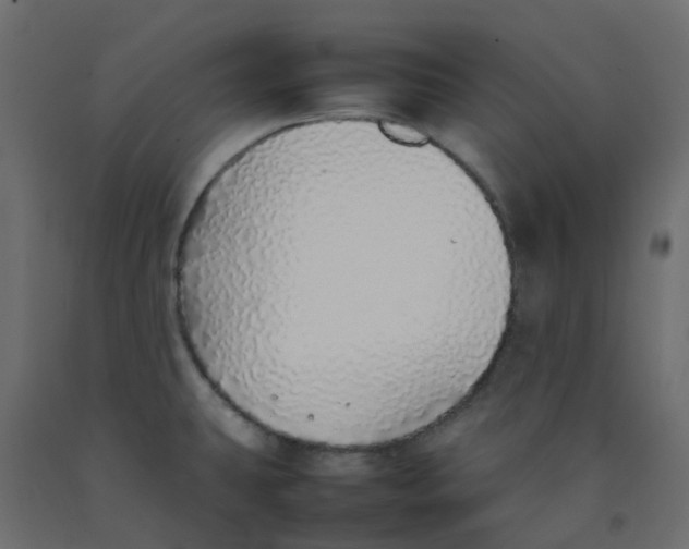 X0000092101431200710101112