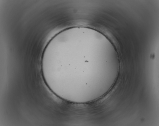 X0000092101432200710101112