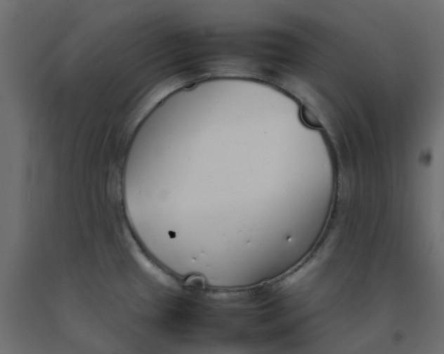 X0000092101433200710101112