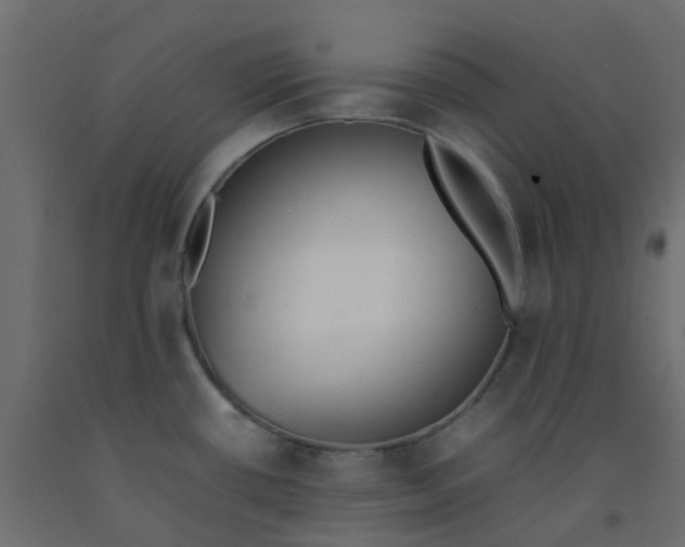 X0000092101434200710101112