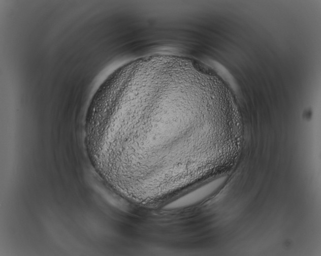 X0000092101435200710101112