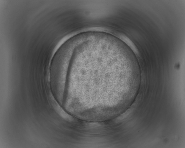 X0000092101436200710101112