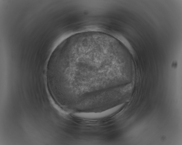 X0000092101439200710101112