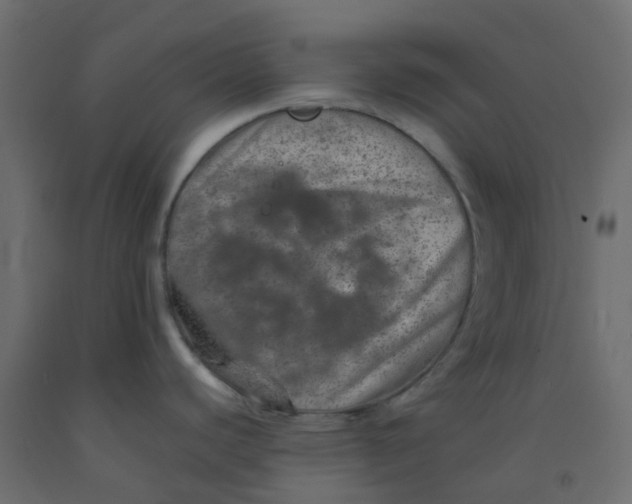 X0000092101440200710101112