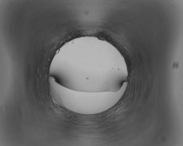 X0000092101441200710101112